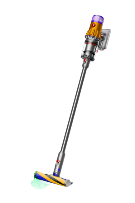 Полная профилактика Dyson V12 Detect Slim